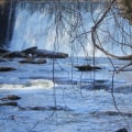Exploring the Best Parks and Recreation Areas in Fulton County, Georgia