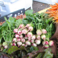 Discover the 10 Best Farmers Markets in Fulton County, Georgia